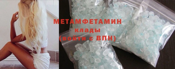дживик Ельня