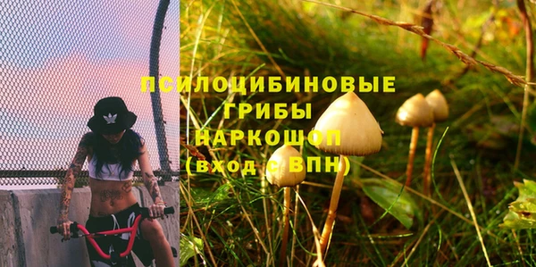 эйфоретик Дмитровск
