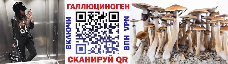 Купить где  Новоржев  Галлюциногенные грибы Magic Shrooms 